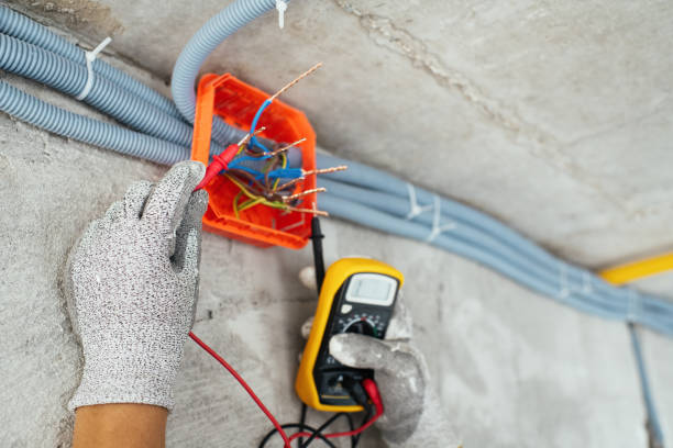 Best Home Electrical Repair  in Manton, MI