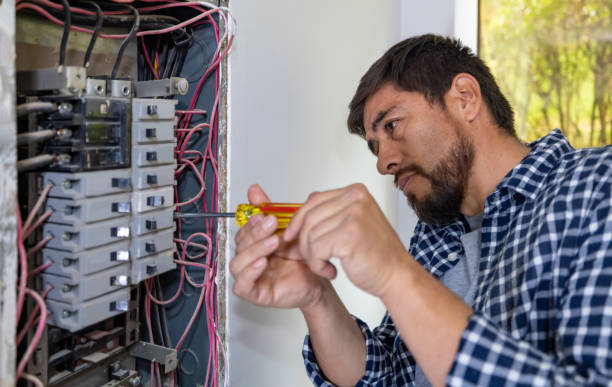 Best Electrician for Home Renovation  in Manton, MI